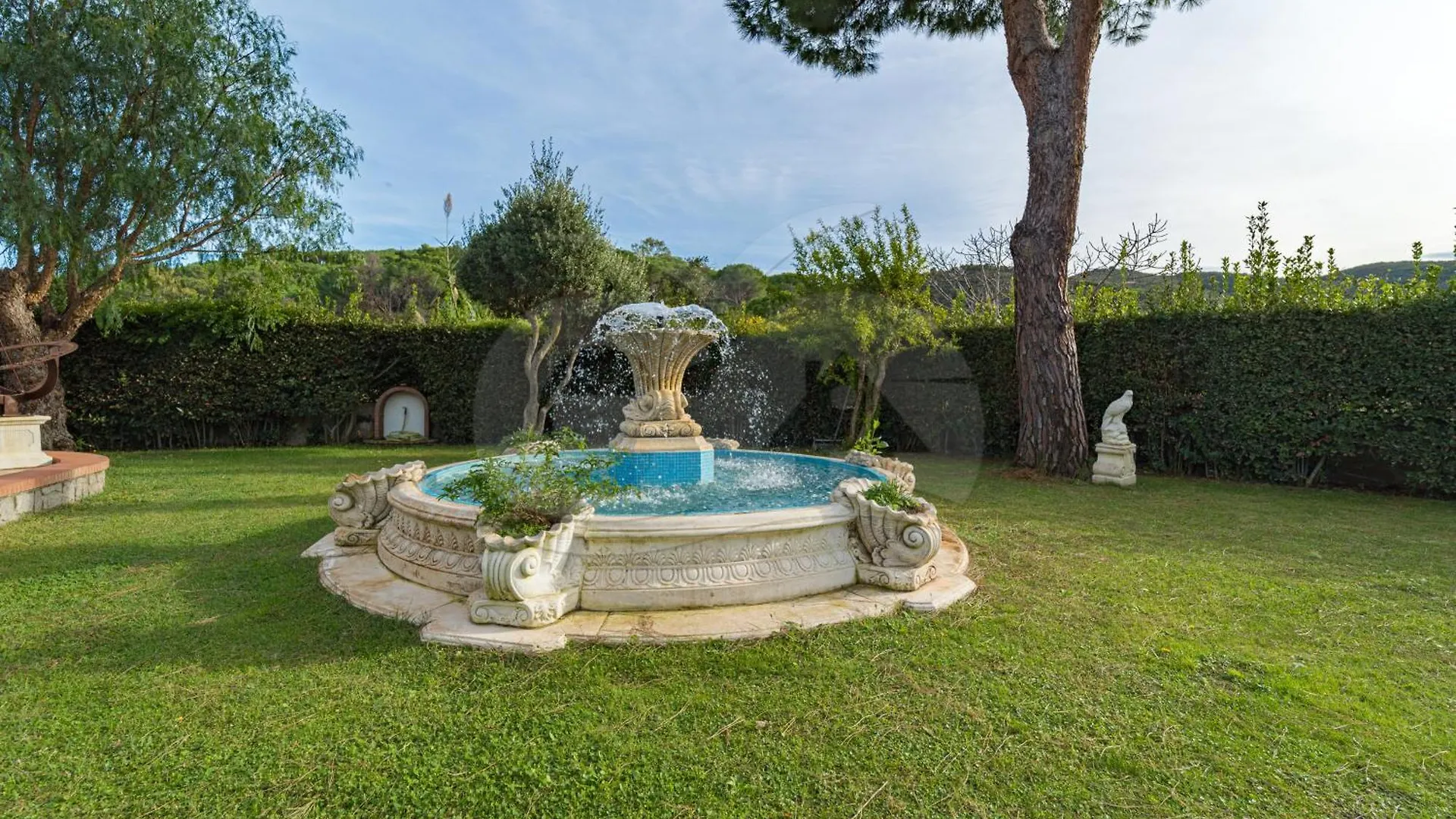 L'Albero Del Pepe 1 - Goelba Apartment Marina di Campo Italy